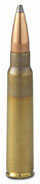 Rifle Ammo 303 Savage