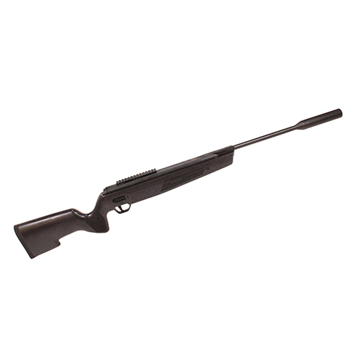 Sig Sauer ASP 20 Air Rifle, .22 Caliber, Gas Piston, Beechwood Stock