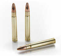 Rifle Ammo 416 Remington Magnum