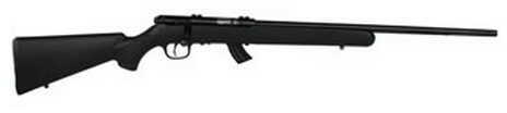 <span style="font-weight:bolder; ">Savage</span> Mark II F Rifle 17 HM2 With AccuTrigger 21" Barrel 10 Round Matte Blued Finish Black Synthetic Stock