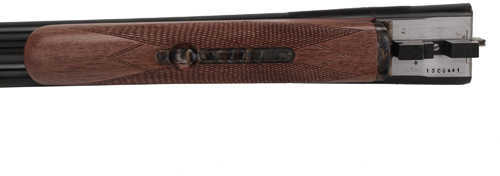 CZ Hammer Classic 12 Gauge 30" Barrel Case-img-2