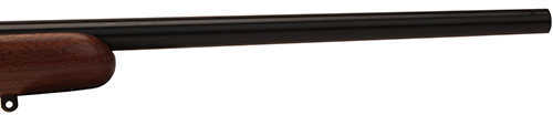 CZ USA 455 American 17 HMR Rifle 20.5" Barrel 5 Round Walnut Stock 02170