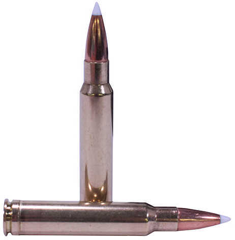 338 Winchester Magnum 20 Rounds Ammunition Nosler 225 Grain Ballistic Tip