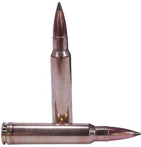 338 Winchester Magnum 20 Rounds Ammunition Nosler 225 Grain Ballistic Tip