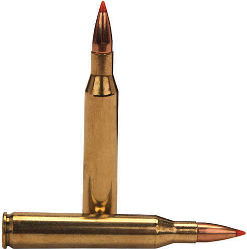 25-06 Remington 20 Rounds Ammunition Fiocchi Ammo 117 Grain SST