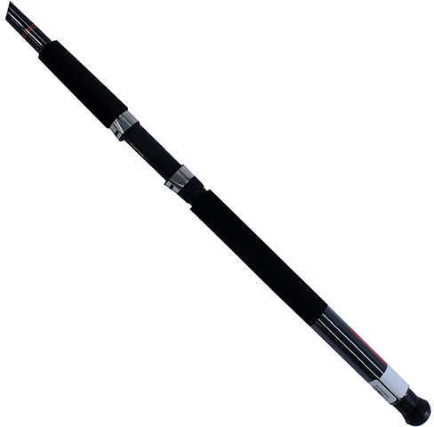Daiwa Beefstick-SF Surf Rod Spinning 8ft 2 pieces BFSF802MRS