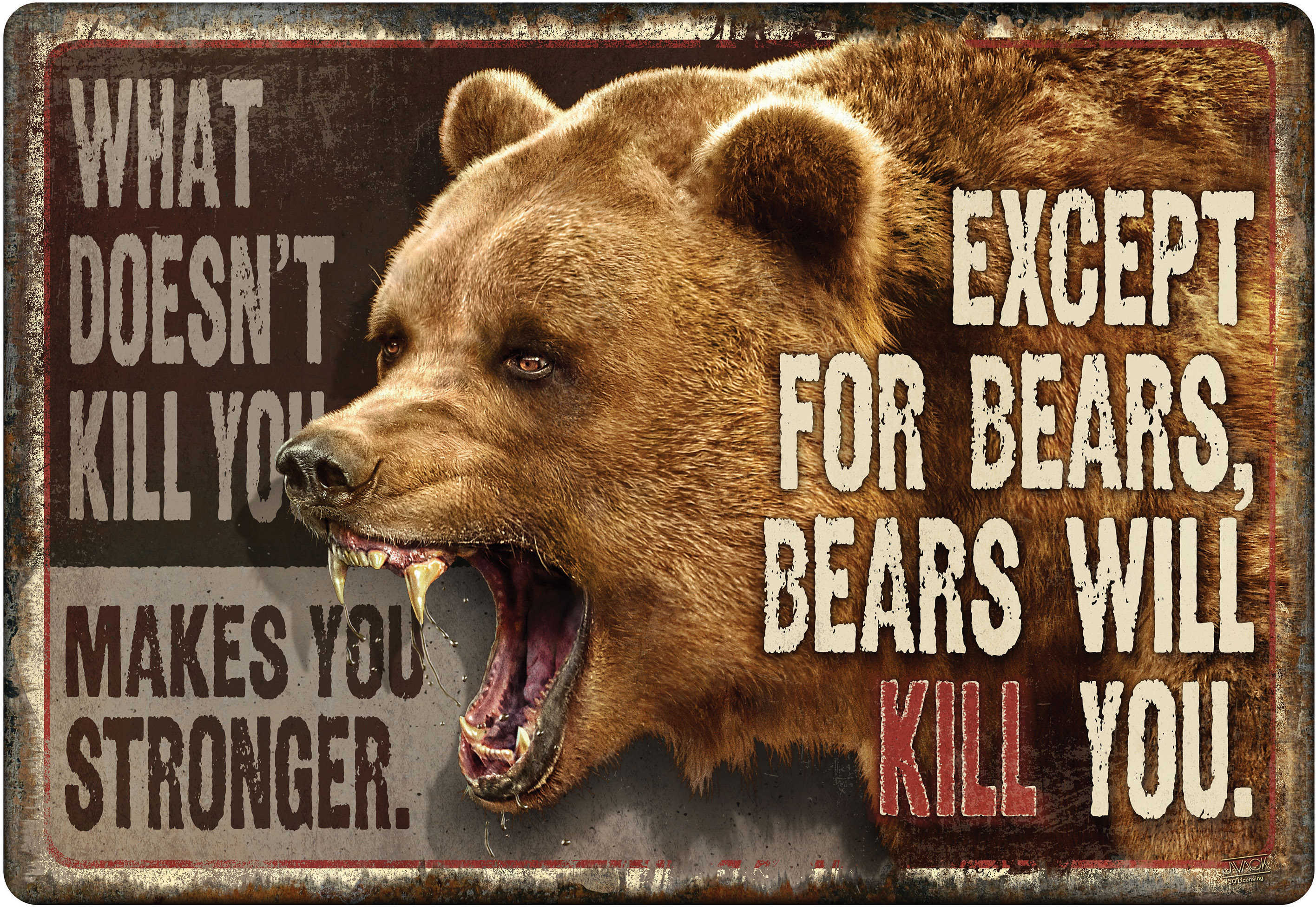 Rivers Edge Products 12" x 17" Tin Sign Bears Will Kill You Md: 1457