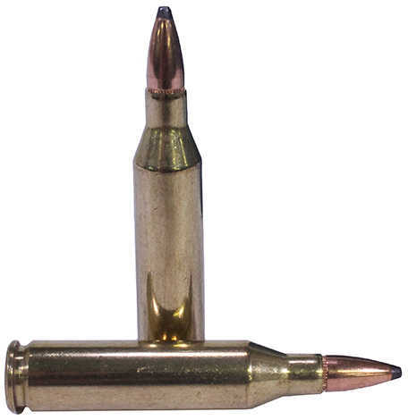 Federal 243 Winchester 80 Gr Soft Point Ammo - 20 Rounds for Hunting Performance
