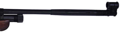 Beeman SAG CO2 Air Rifle .177 Caliber with Thumbhole Stock Md: AR2078-177