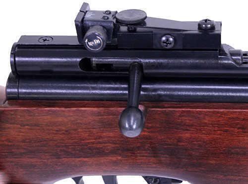 Beeman SAG CO2 Air Rifle .177 Caliber, Bolt Action, Peep Sights Md: AR2078A-177