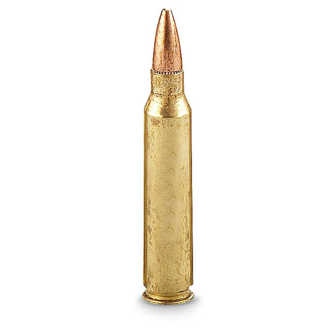Federal 5.56mm NATO 55 Grain Full Metal Jacket - 20 Rounds for Dependable Performance