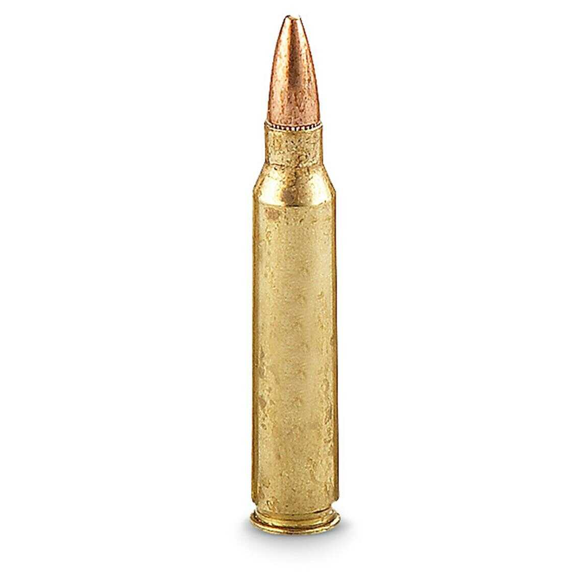 5.56mm Nato 20 Rounds Ammunition Federal Cartridge 55 Grain Full Metal Jacket