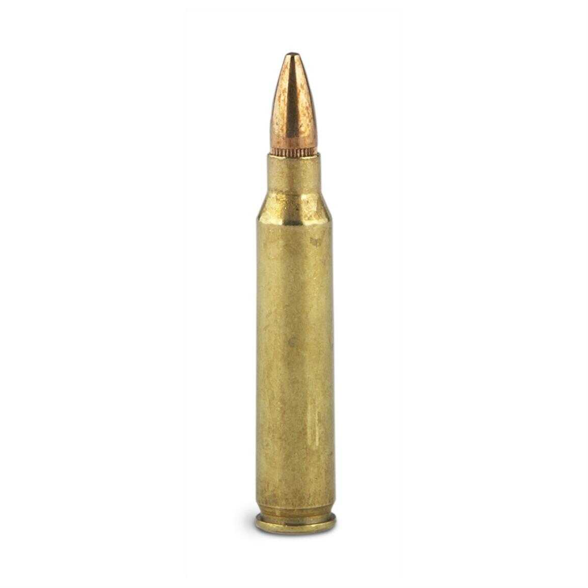 223 Remington 100 Rounds Ammunition Federal Cartridge 55 Grain Full Metal Jacket