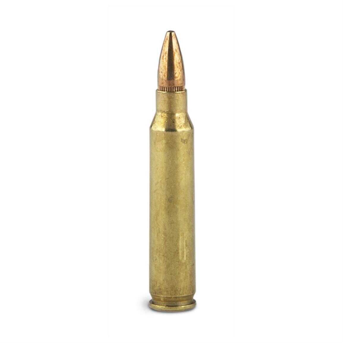 Federal 223 Remington 55 Grain FMJ - 100 Rounds for High-Volume Training