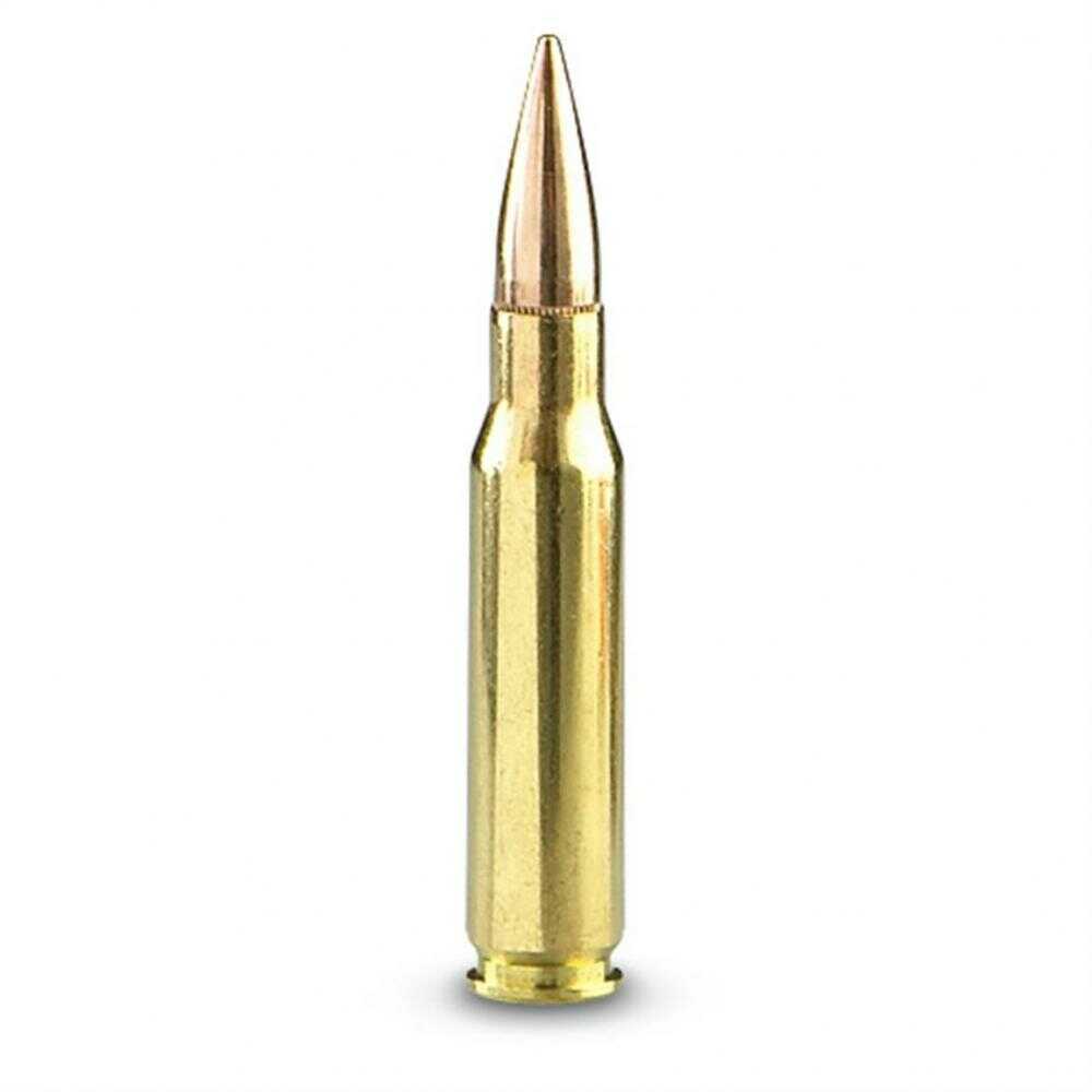 308 Winchester 20 Rounds Ammunition PMC 150 Grain Soft Point