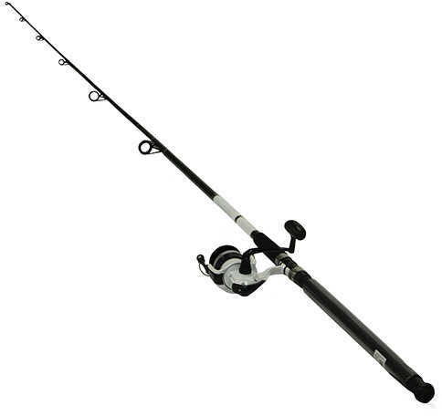 Daiwa D-Wave Saltwater Spinning Combo 1 Bearing 10 Length 2 Piece Rod Medium Power Fiberglass Blank