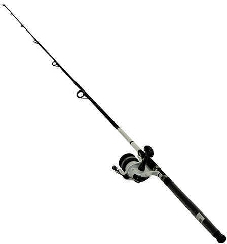 Daiwa D-Wave Saltwater Spinning Combo 1 Bearing 9 Length 2 Piece Rod Medium Power Fiberglass Blank Ma