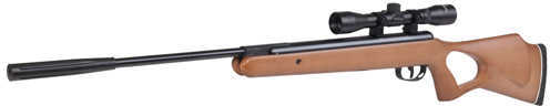 Benjamin Sheridan Titan NP Air Rifle Break Open .22 Hardwood Stock Black Finish BW8M22NP