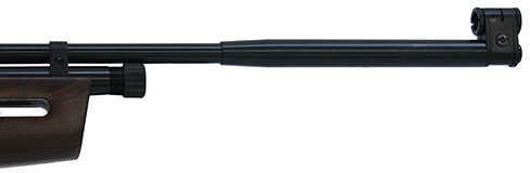 Beeman Sag Co2 Air Rifle 177 Caliber Md: Ar2078b-177