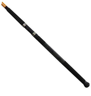 Daiwa FT Surf Spinning Rod 10 Length 2 Piece 10-20 lb Line Rating Mediu Power Fast Action Md: FTS