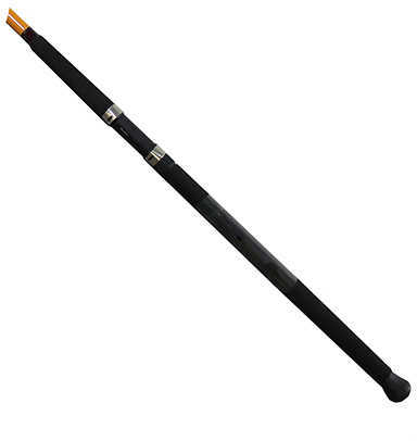 Daiwa FT Surf Spinning Rod 11 Length 2 Piece 10-25 lb Line Rating Mediu Power Fast Action Md: FTS