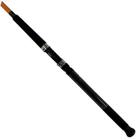Daiwa FT Surf Spinning Rod 8 Length 2 Piece 8-17 Lb Line Rating Medium Power Fast Action Md: FTS8