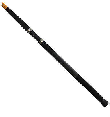 FT Surf Spinning Rod 9 Length 2 Piece 8-20Lb-img-1