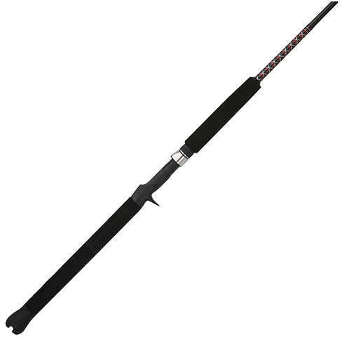 Shakespeare Ugly Stik Bigwater Casting Rod 6 Length 1 Piece 15-25 lb Line Rate 3/4-3 oz Lure Heavy