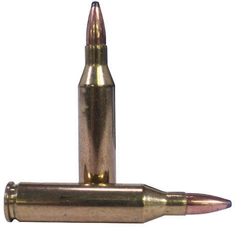 243 Winchester 20 Rounds Ammunition Federal Cartridge 100 Grain Soft Point