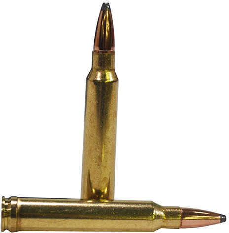 300 Winchester Magnum 20 Rounds Ammunition-img-1