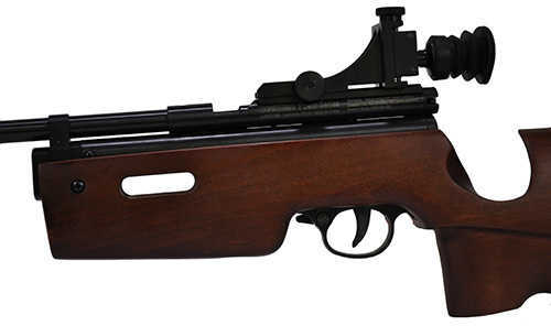 Beeman SAG CO2 Air Rifle 177 Caliber, Single Shot Md: AR2079B-177