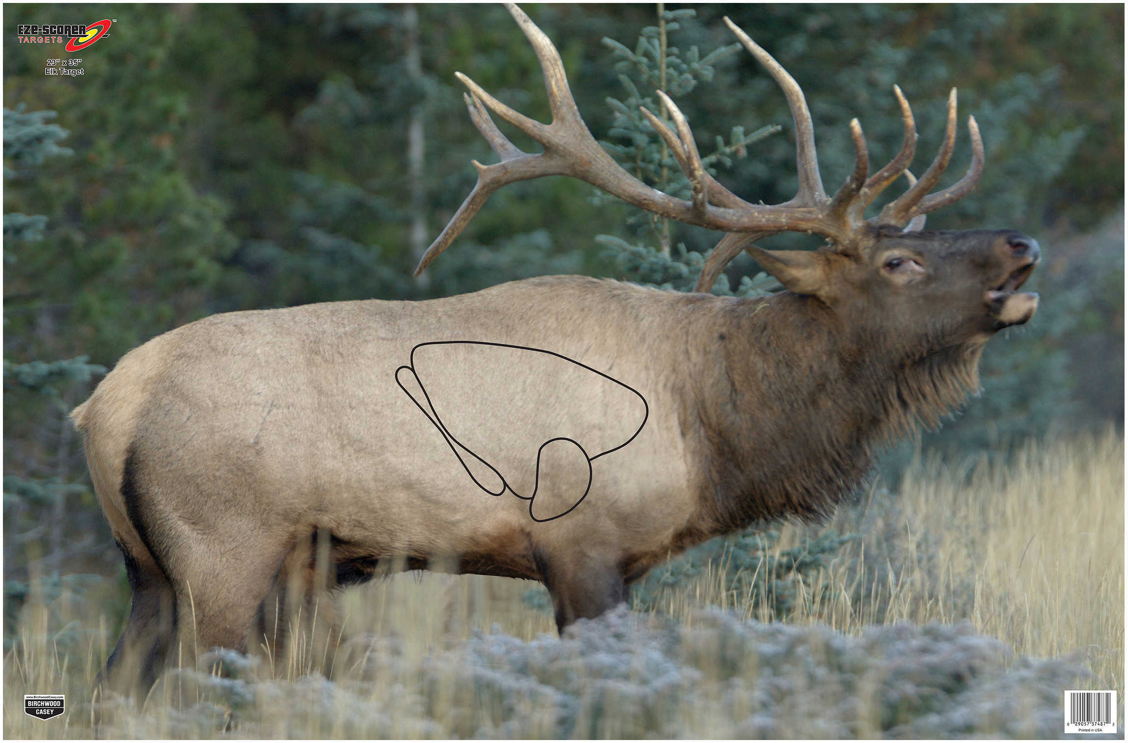 Birchwood Casey Eze-Scorer Elk 23" x 35" 2 Targets 37485
