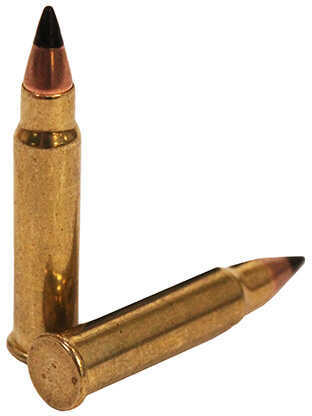 17 HMR 50 Rounds Ammunition CCI 17 Grain Ballistic Tip