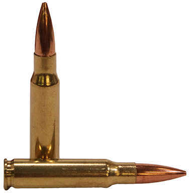 7.62 NATO 20 Rounds Ammunition Federal Cartridge 168 Grain Hollow Point