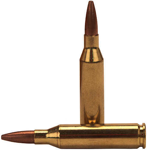 243 Winchester 20 Rounds Ammunition Federal Cartridge 95 Grain Soft Point