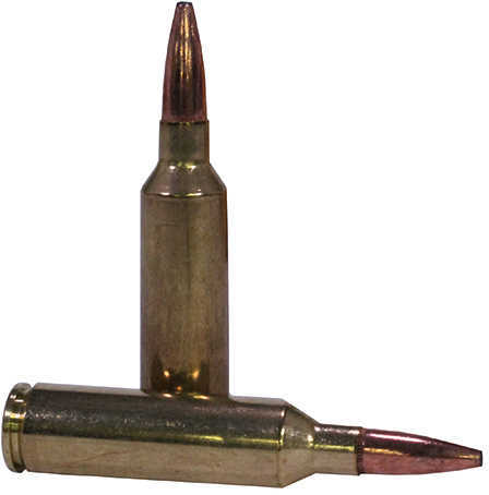 270 WSM 20 Rounds Ammunition-img-1