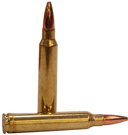 Federal 300 Winchester Magnum 165 Gr Soft Point Ammo - 20 Rounds for Precision Hunting