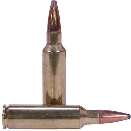 Federal 300 WSM 180 Grain Soft Point - 20 Rounds for Powerful Accuracy