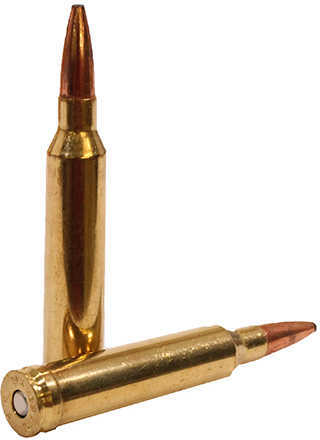 7mm Remington Magnum 20 Rounds Ammunition-img-1