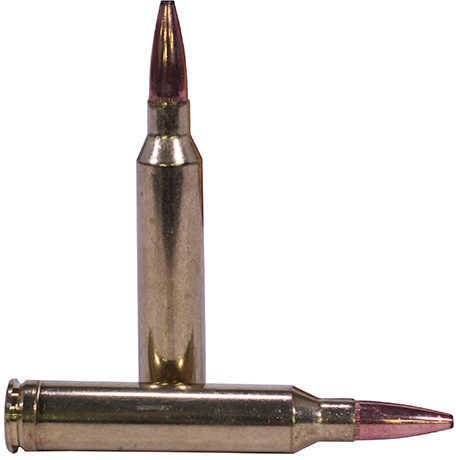 Federal 7mm Remington Magnum 175 Grain Soft Point - 20 Rounds for Big Game Power