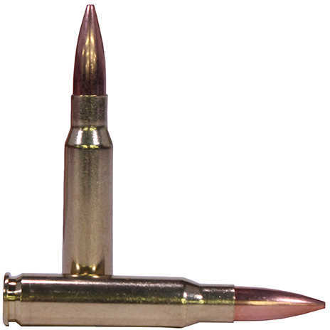 Federal 308 Winchester 175 Gr HP Ammo - 20 Rounds for Precision Shooting