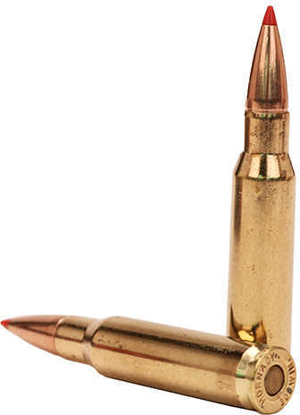 308 Winchester 20 Rounds Ammunition Hornady 165 Grain GMX
