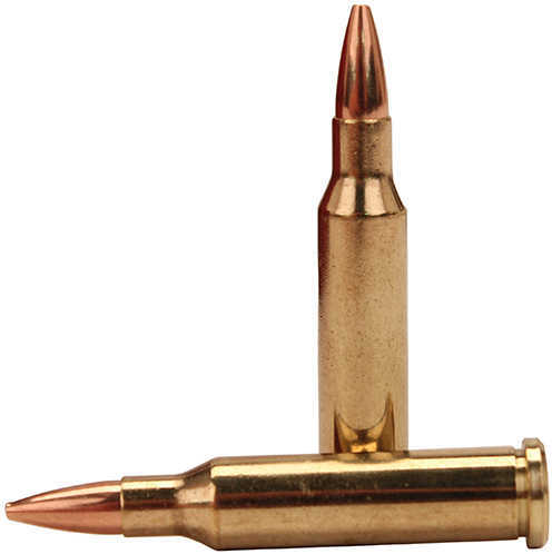 17 Hornet 50 Rounds Ammunition Hornady 25 Grain Hollow Point