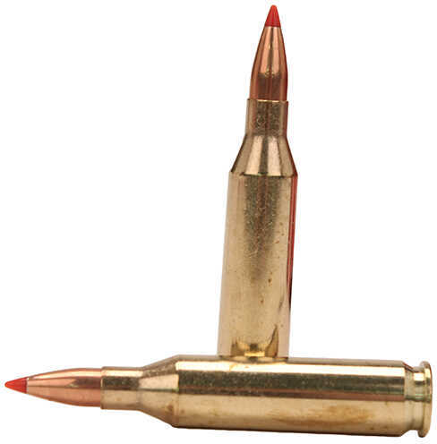 Hornady 243 Winchester 75 Grain V-Max - 20 Rounds for Varmint Hunting