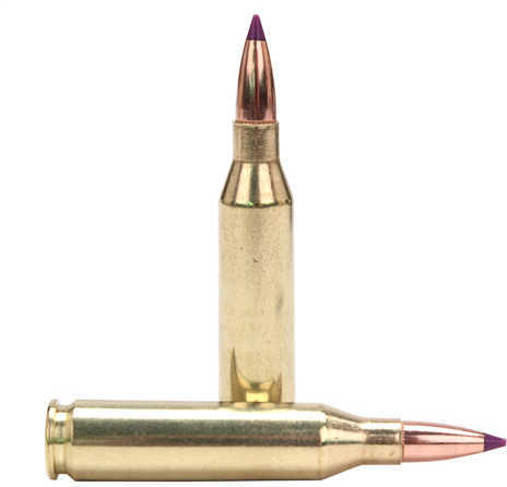 243 Winchester 20 Rounds Ammunition Nosler 90 Grain Ballistic Tip