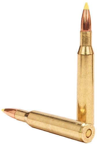 Nosler 270 Winchester 140 Grain Ballistic Tip - 20 Rounds for Superior Hunting Precision