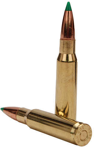 308 Winchester 20 Rounds Ammunition Nosler 165 Grain Ballistic Tip