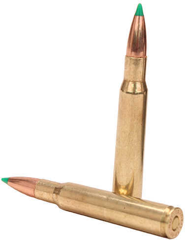 30-06 Springfield 20 Rounds Ammunition Nosler 125 Grain Ballistic Tip