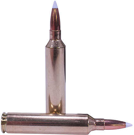Nosler 26 Nosler 140 Gr Ballistic Tip Ammo - 20 Rounds for Precision Shooting