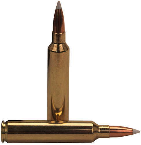 28 Nosler 20 Rounds Ammunition 160 Grain Ballistic Tip